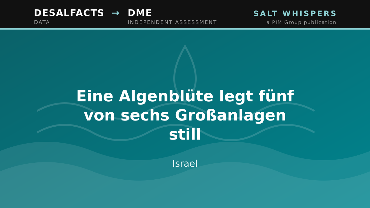 Israel: Eine Algenblüte legt fünf von sechs Großanlagen still