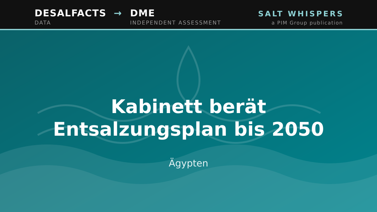 Kabinett berät Entsalzungsplan bis 2050, Ägypten