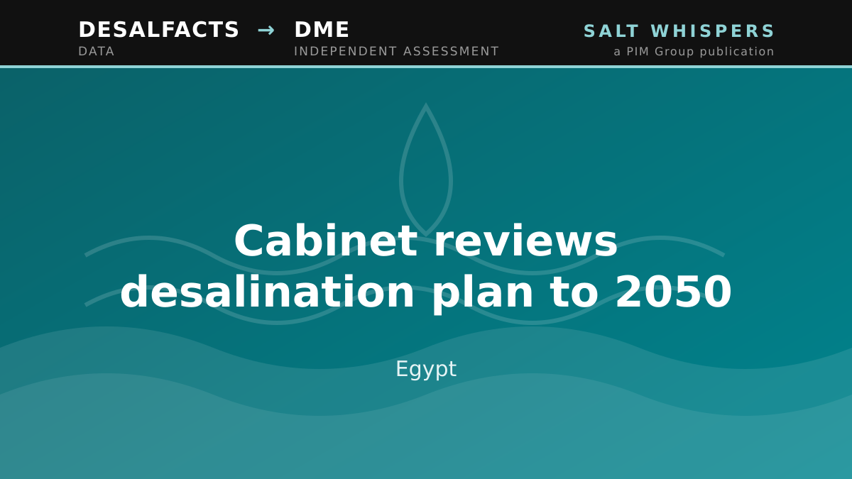 Cabinet reviews desalination plan to 2050, Egypt
