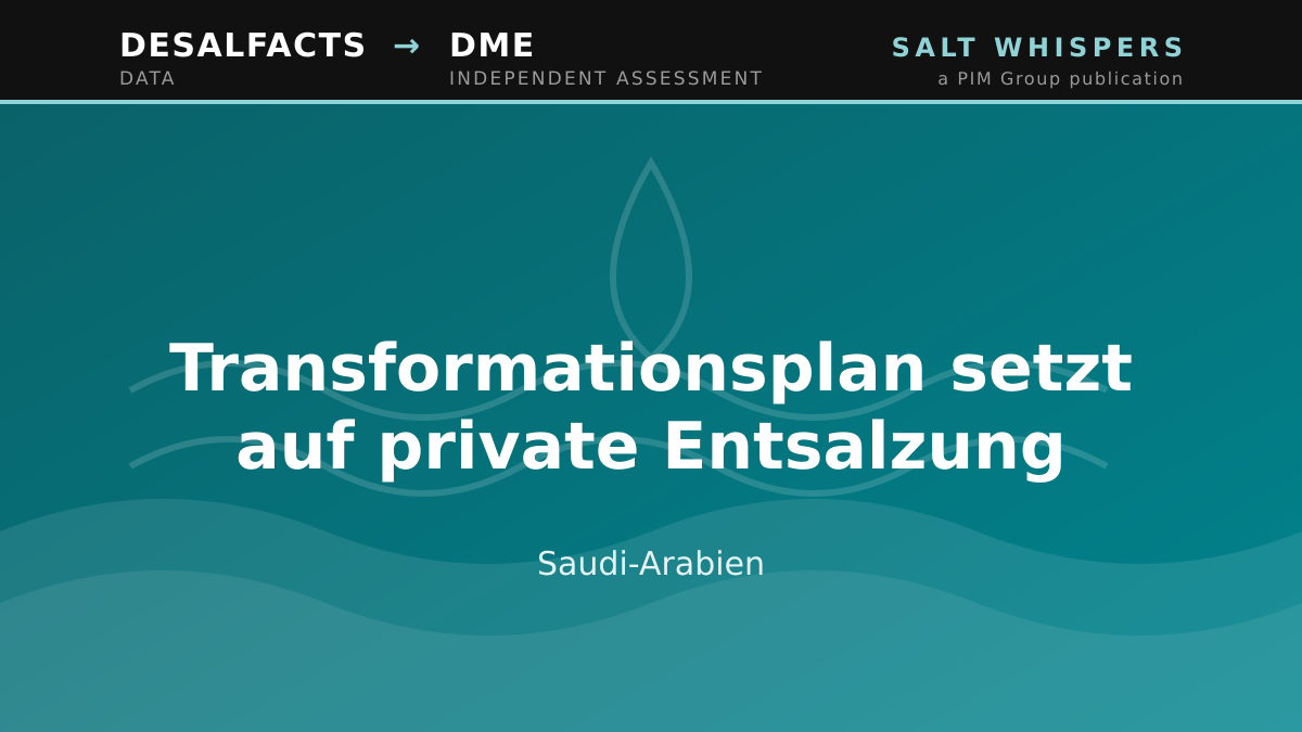 Transformationsplan setzt auf private Entsalzung, Saudi-Arabien
