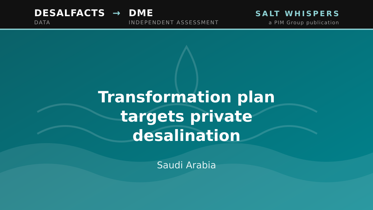Transformation plan targets private desalination, Saudi Arabia